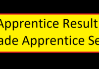 ICOL Apprentice Result 2022