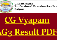 CG Vyapam Assistant Grade 3 Result