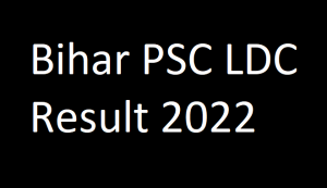 Bihar PSC LDC Result 